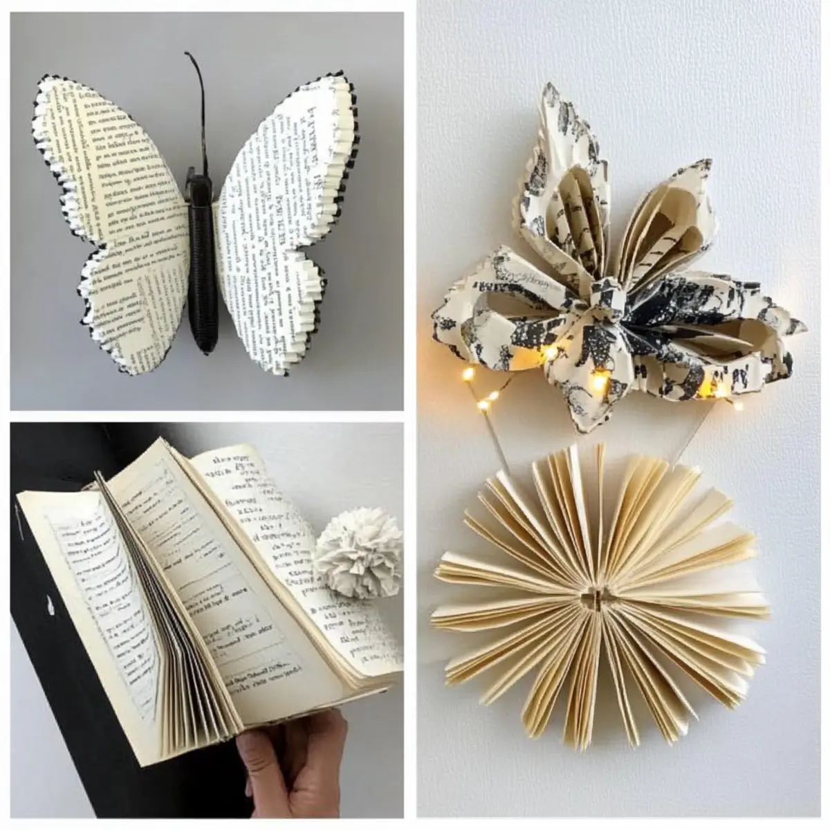 g0kl2gdmtynhqyzmvehr