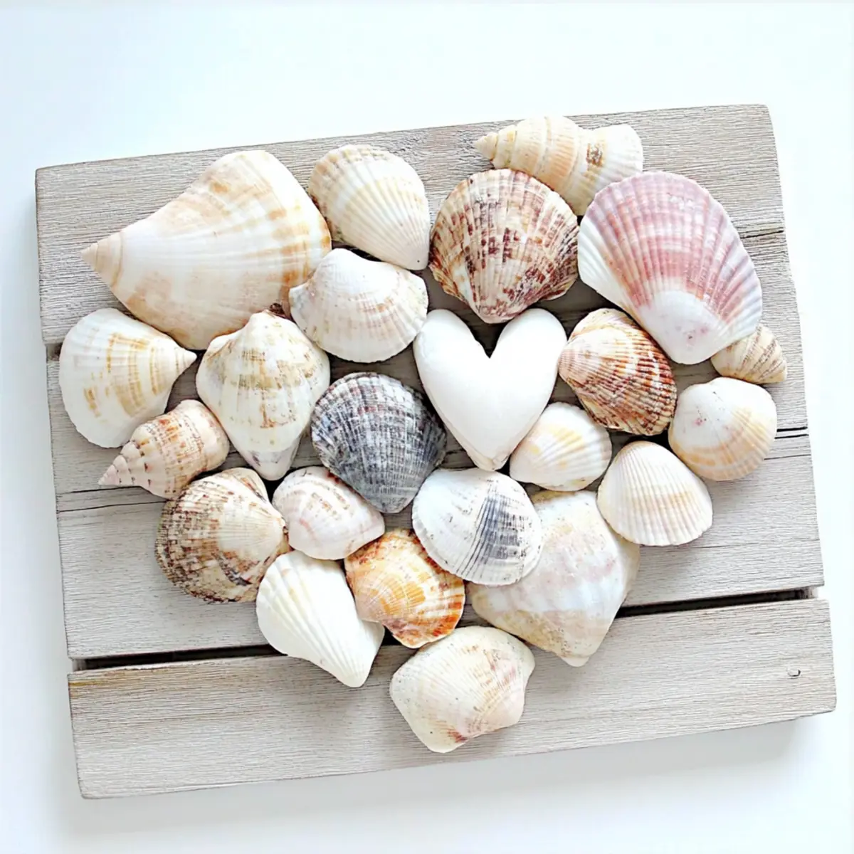 How to Make DIY Seashell Wall Art | Easy Craft for the Home