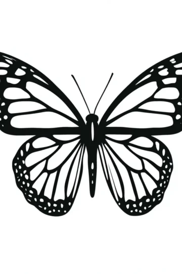 Butterfly Template